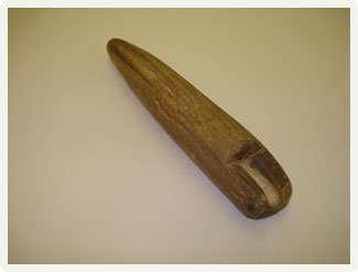 Чертов палец - останки древнего моллюска